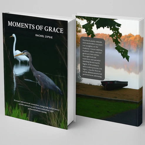 Moments of Grace by Rachel Zipsie